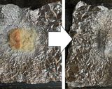 キング山本さんのじゃがチキ&2種のソース作り方8写真