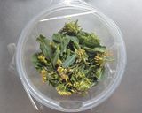 レンジで簡単☆菜の花の白だしバター和え。作り方2写真