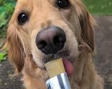 愛犬喜ぶ！うまみペーストのひんやりアイス作り方6写真