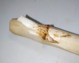 うどの酢味噌和え作り方2写真