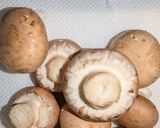 電子レンジで作るビストロ減塩無水ハヤシ作り方2写真