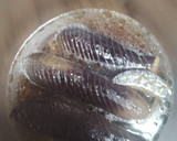 なすのとろとろ焼きびたし作り方3写真