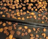 大量消費&保存に!びわのドライフルーツ作り方8写真