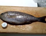 ひと手間かけて炙り刺身イサキ作り方2写真
