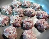 白菜の焼き焼売作り方2写真