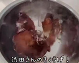 食物繊維たっぷりきくらげの美人たまご炒め作り方3写真