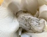 オレガノオイル　天然の抗生物質の効果！作り方3写真