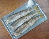 カマスの冷蔵庫干し焼き作り方6写真