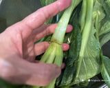 沢山食べれる★小松菜と豆もやしの塩ナムル作り方10写真
