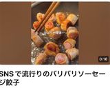 つまみにおやつに!パリパリソーセージ餃子作り方6写真