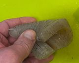 俺流！蒟蒻きんぴらごぼう作り方5写真