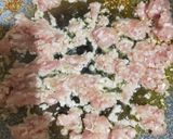 鶏ひき肉とししとうのパスタ作り方3写真