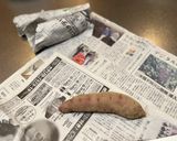サツマイモの保存方法作り方1写真