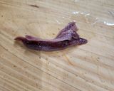 生ピーマンの鶏挽き肉載せ作り方2写真