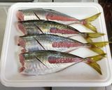 鯵のアクアパッツァ風作り方2写真