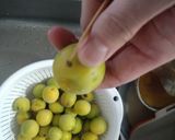 梅干し　昔ながらの味の強さ　簡単作り方2写真