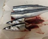 わたぬき裏技！秋刀魚の塩焼き作り方3写真