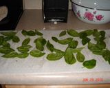 バジルの冷凍保存作り方1写真