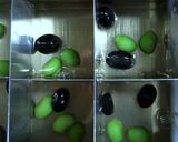水玉模様が涼しげ！枝豆と黒豆の寒天寄せ作り方5写真