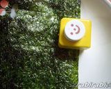 【キャラ弁】かものはしかも。作り方8写真