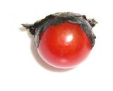 キャラ弁♪プチトマトdeさるぼぼちゃん作り方4写真