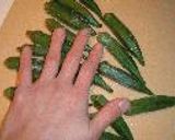 揚げ出し豆腐のオクラあん作り方1写真