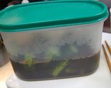 塩昆布と昆布茶でポリポリきゅうり♪作り方4写真