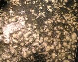 生だこのカルパッチョ作り方3写真