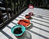 子供に伝えたい 母の味の梅干し作り方11写真