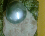 お弁当用・山芋とツナでうなぎの蒲焼風？作り方2写真