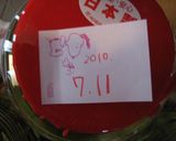 材料3つ！簡単梅酒作り方9写真