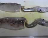 スルメイカのしょうが醤油焼き♪作り方1写真