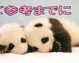 自家製酵母中種ではちみつレーズンパン作り方11写真