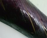 ビールのお供定番！ナスのホイル蒸し焼き♪作り方1写真