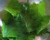 簡単♪しその葉　ごま醤油漬け作り方1写真