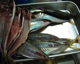 自家製 鯵の開き作り方1写真