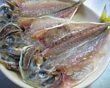 自家製 鯵の開き作り方7写真