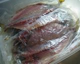 自家製 鯵の開き作り方5写真