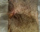 鶏モモ肉のロースト 九条葱を添えて作り方1写真