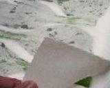 ほろにが海老巻。作り方23写真