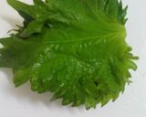 大葉香る♪みそ作り方3写真