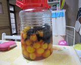 子供に伝えたい 母の味の梅干し作り方9写真