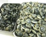 ホンビノスとアオサのお味噌汁　磯風味作り方6写真