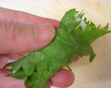 さっぱり生春巻き作り方3写真