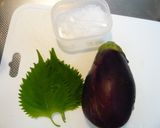 材料は２つだけ！水なすの塩もみ風作り方1写真