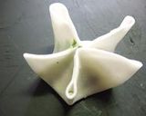 餃子の包み方いろいろ　～８種類～作り方12写真