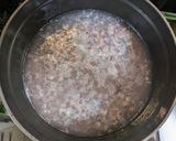 発芽した小豆から作る 発酵あんこ作り方6写真