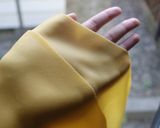 手打ちパスタ覚書作り方6写真