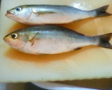 簡単！あっという間においしい魚の煮つけ★作り方1写真