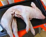豚の丸焼き作り方1写真